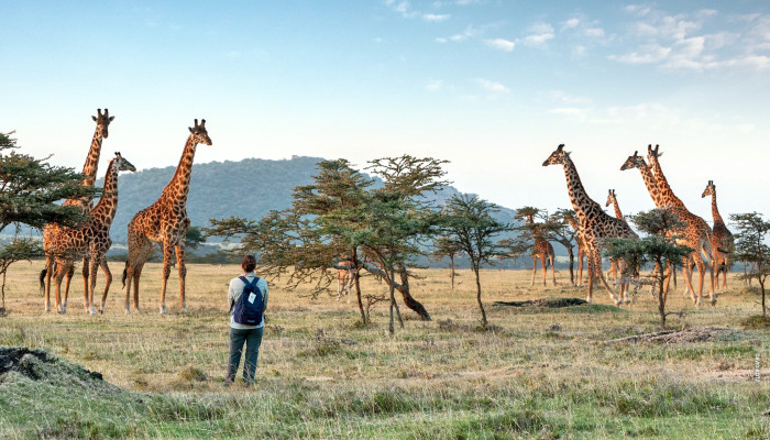 THE WEATHER IN TANZANIA