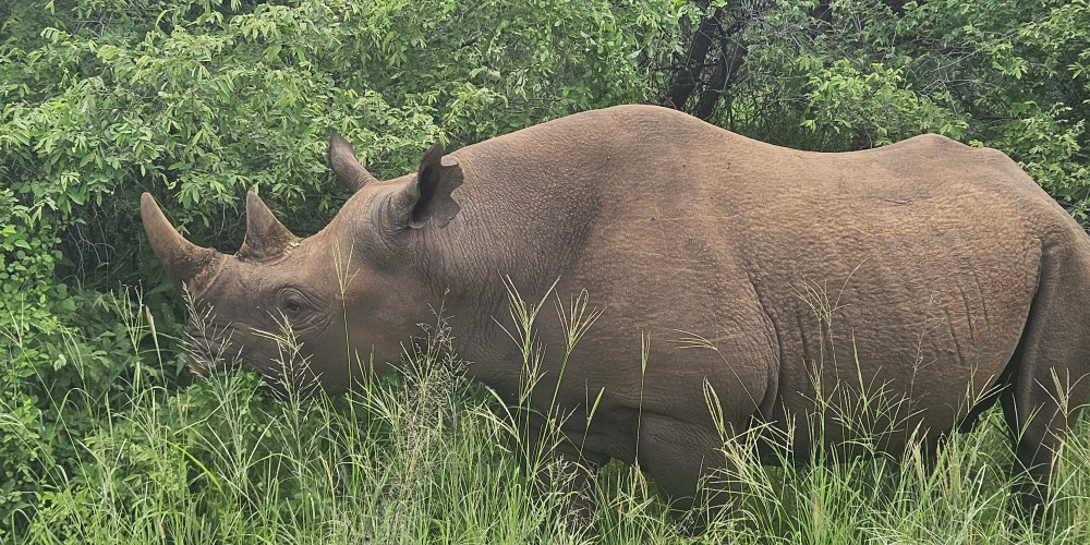 Mkomazi National Park