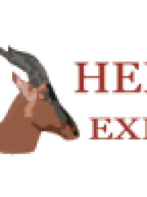 Where in tanzania can i witness migration and the big five